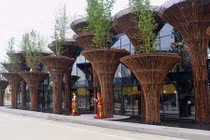 Ngôi nhà tre Việt Nam đẹp lạ lùng giữa lòng nước Italia