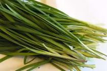 10 bài thuốc trị ho dân gian hay nhất bạn nên biết