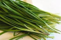 10 bài thuốc trị ho dân gian hay nhất bạn nên biết