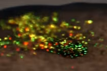 Phương pháp đột phá điều trị ung thư bằng ánh sáng