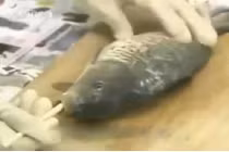 Mách nước cách mổ cá không cần rạch bụng vẫn nhanh và sạch