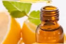 Những mẹo khử sạch mùi nước tiểu chó mèo trong nhà