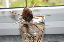 11 công dụng thần kỳ của những chiếc tăm ít người biết