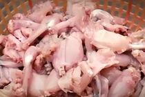 Video: Ếch trôi nổi “nhảy” vào hàng đặc sản