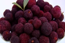 Cách lựa chọn và sử dụng quả thanh mai an toàn