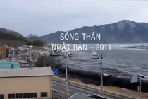 Cách thoát hiểm khi có sóng thần bạn nên biết