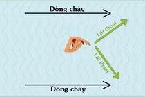 Kỹ năng thoát thân trong mùa mưa bão mà ai cũng phải biết