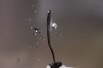 Kinh ngạc sức mạnh chẻ đôi viên đạn của dao cắt bơ