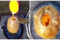 Điều kỳ diệu gì xảy ra khi đổ đồng nóng vào trái dừa?