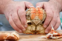 Cách tách cua không sót thịt đơn giản nhất