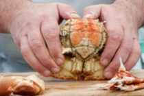 Cách tách cua không sót thịt đơn giản nhất
