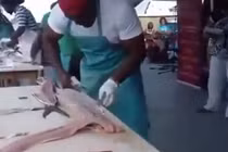 Xuất hiện “Thánh làm cá“ siêu nhanh