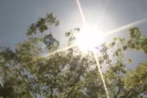 Tác hại đáng sợ của nắng đầu hè không phải ai cũng biết