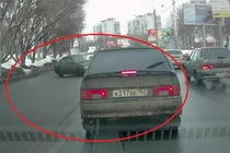 Chú chó qua đường gây náo loạn giao thông