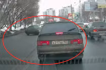 Chú chó qua đường gây náo loạn giao thông