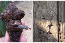 Những khuôn mặt ẩn náu quanh ta