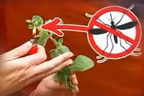 Video: 10 bí kíp sinh tồn ai cũng cần phải biết