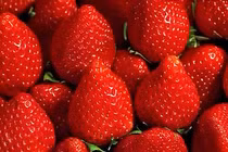 Những loại thực phẩm càng ăn nhiều càng giúp trắng răng