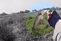 Đếm thử các kiểu câu cá độc lạ ở Việt Nam