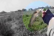 Đếm thử các kiểu câu cá độc lạ ở Việt Nam