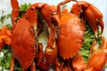 Cách ăn cua ghẹ không bỏ đi chút thịt nào