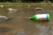 Sử dụng thuốc diệt cỏ tràn lan và nỗi lo nước sạch đầu nguồn