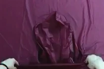 Video: Hướng dẫn cách gấp áo mưa nhanh tiện lợi khi sử dụng