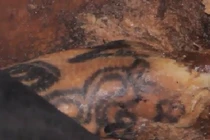 Cận cảnh hình xăm bí ẩn trên xác ướp công chúa 2.500 tuổi