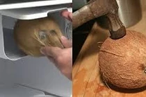 Cách tách cùi dừa nguyên quả bằng máy cực độc đáo 