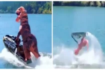 Bắt gặp "khủng long” lướt sóng đẳng cấp ngoài đời thực