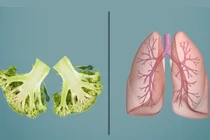 Những thực phẩm “ăn gì bổ nấy“