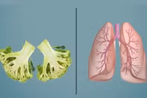 Những thực phẩm “ăn gì bổ nấy“