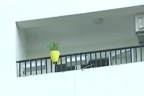 Video: Hiểm họa “vật thể bay” tại chung cư