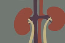 Video: Sẽ ra sao nếu sống thiếu một quả thận?