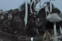 Xem quy trình sản xuất kháng sinh từ phân ngựa