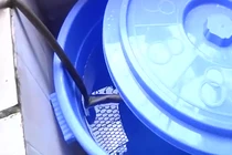 “Ngã ngửa” thủ phạm gây sốt xuất huyết ở Hà Nội