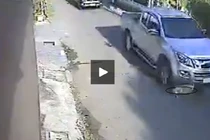 Chó kỳ lạ bị ô tô chèn qua không hề hấn gì