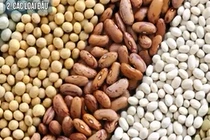 Những loại thực phẩm giảm mỡ bụng hiệu quả