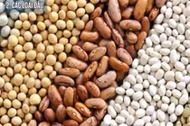 Những loại thực phẩm giảm mỡ bụng hiệu quả