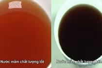 Cách nhận biết nước mắm an toàn cực đơn giản