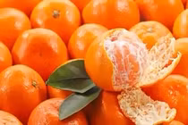 Những người mắc bệnh sau không nên ăn quýt