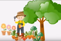 Cách xử lý khi trẻ bị ngộ độc cây, lá