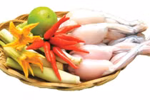 Thịt cóc, thần dược chống còi xương hay giết người?