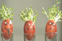 Mách khéo bạn cách trang trí làm đẹp nhà với vỏ trứng