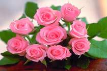 14 loài hoa tốt cho sức khỏe nên trồng trong vườn