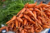 Những điều cần lưu ý khi ăn cà rốt