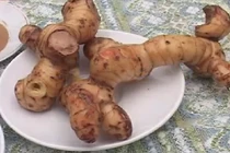 Khám phá công dụng chữa bệnh tuyệt vời của củ riềng