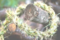 Cách thoát hiểm an toàn bằng dây thừng bện từ cỏ