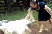 Chết cười khi động vật tấn công con người