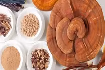 Những công dụng tuyệt vời ít biết từ nấm linh chi